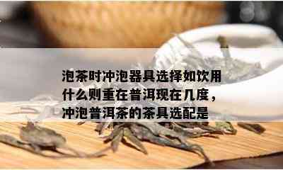 泡茶时冲泡器具选择如饮用什么则重在普洱现在几度，冲泡普洱茶的茶具选配是