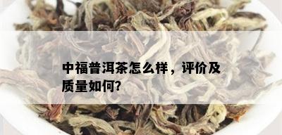 中福普洱茶怎么样，评价及质量如何？