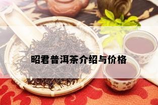 昭君普洱茶介绍与价格