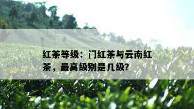 红茶等级：门红茶与云南红茶，更高级别是几级？