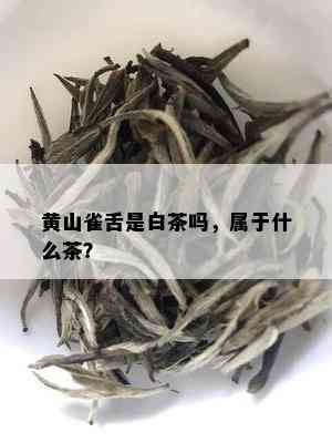 黄山雀舌是白茶吗，属于什么茶？