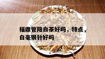 福鼎管阳白茶好吗，特点，白毫银针好吗