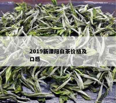 2019新溧阳白茶价格及口感