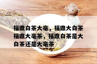 福鼎白茶大亳，福鼎大白茶福鼎大毫茶，福鼎白茶是大白茶还是大毫茶