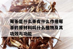 莓茶是什么茶有什么作用莓茶的原材料叫什么植物及其功效与功能