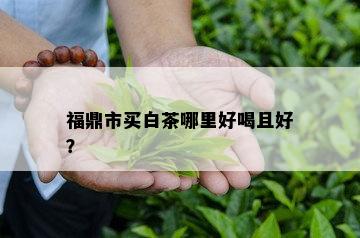 福鼎市买白茶哪里好喝且好？