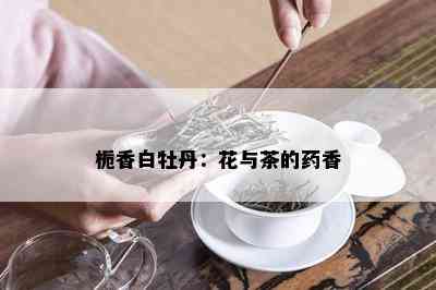 栀香白牡丹：花与茶的香