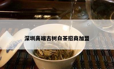 深圳高端古树白茶招商加盟