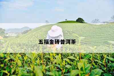 五福金砖普洱茶