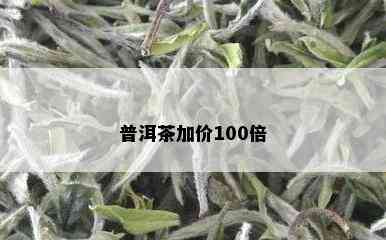 普洱茶加价100倍