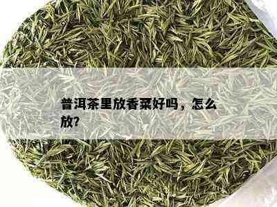 普洱茶里放香菜好吗，怎么放？