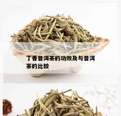 丁香普洱茶的功效及与普洱茶的比较