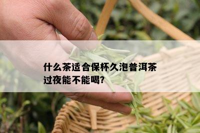 什么茶适合保杯久泡普洱茶过夜能不能喝？