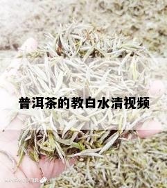 普洱茶的教白水清视频