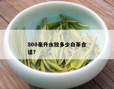 800毫升水放多少白茶合适？