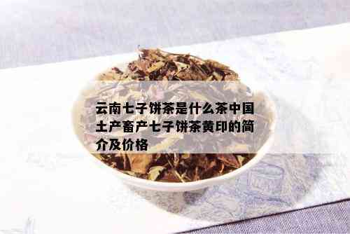 云南七子饼茶是什么茶中国土产畜产七子饼茶黄印的简介及价格