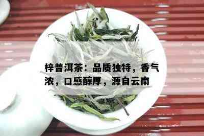 梓普洱茶：品质独特，香气浓，口感醇厚，源自云南