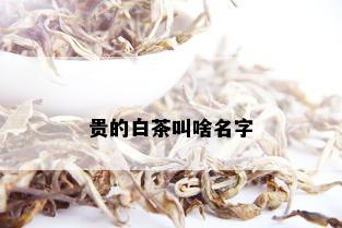 贵的白茶叫啥名字