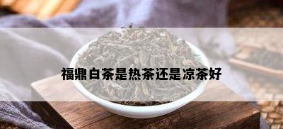 福鼎白茶是热茶还是凉茶好