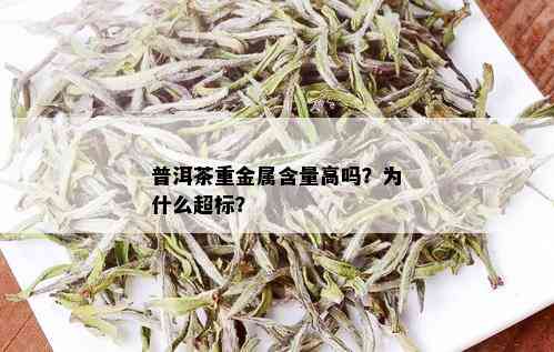 普洱茶重金属含量高吗？为什么超标？