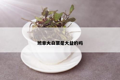 班章大白菜是大益的吗