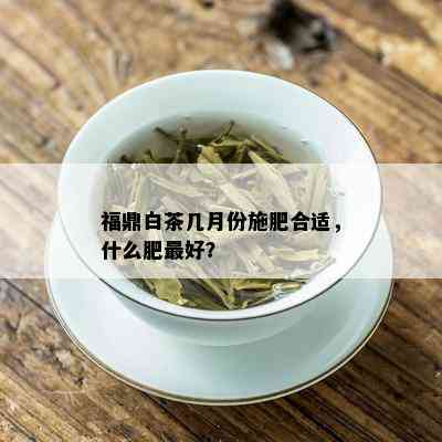 福鼎白茶几月份施肥合适，什么肥更好？