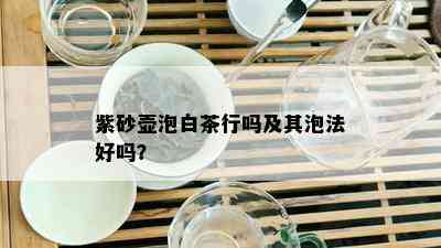 紫砂壶泡白茶行吗及其泡法好吗？