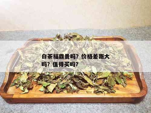 白茶福鼎贵吗？价格差距大吗？值得买吗？