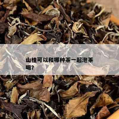 山楂可以和哪种茶一起泡茶喝？