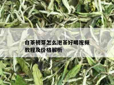 白茶初芽怎么泡茶好喝视频教程及价格解析