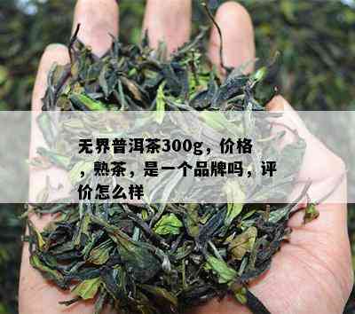 无界普洱茶300g，价格，熟茶，是一个品牌吗，评价怎么样