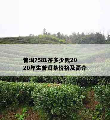 普洱7581茶多少钱2020年生普洱茶价格及简介