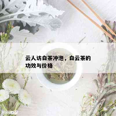 云人访白茶冲泡，白云茶的功效与价格