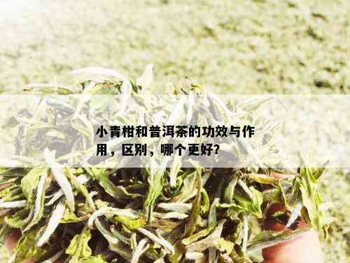 小青柑和普洱茶的功效与作用，区别，哪个更好？