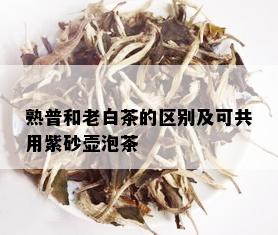 熟普和老白茶的区别及可共用紫砂壶泡茶