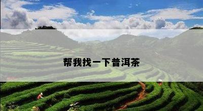 帮我找一下普洱茶