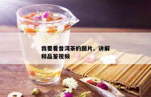 我要看普洱茶的图片、讲解和品鉴视频