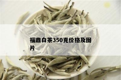 福鼎白茶350克价格及图片