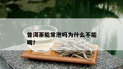 普洱茶能常泡吗为什么不能喝？