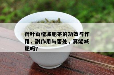 荷叶山楂减肥茶的功效与作用，副作用与害处，真能减肥吗？