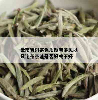 云南普洱茶保质期有多久以及泡茶茶渣是否好或不好