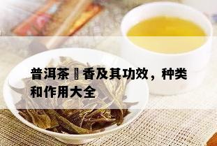 普洱茶栆香及其功效，种类和作用大全