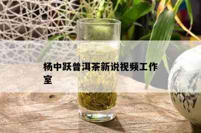 杨中跃普洱茶新说视频工作室