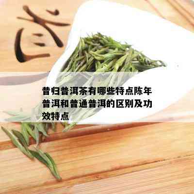 昔归普洱茶有哪些特点陈年普洱和普通普洱的区别及功效特点