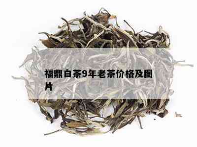 福鼎白茶9年老茶价格及图片