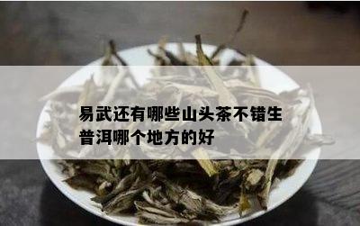 易武还有哪些山头茶不错生普洱哪个地方的好