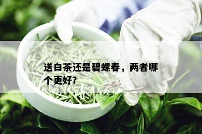 送白茶还是碧螺春，两者哪个更好？