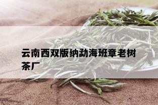 云南西双版纳勐海班章老树茶厂