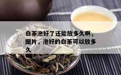 白茶泡好了还能放多久啊，图片，泡好的白茶可以放多久