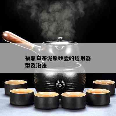 福鼎白茶泥紫砂壶的适用器型及泡法